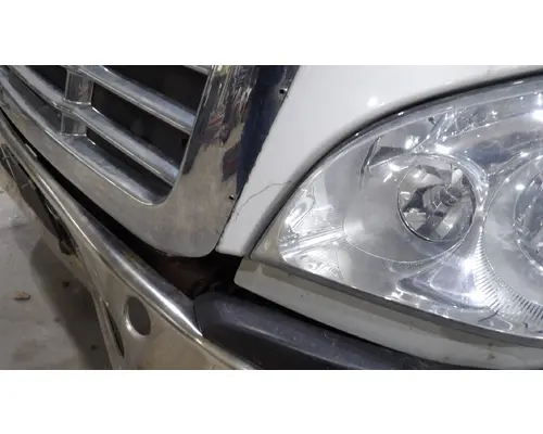 FREIGHTLINER CASCADIA 113 HOOD
