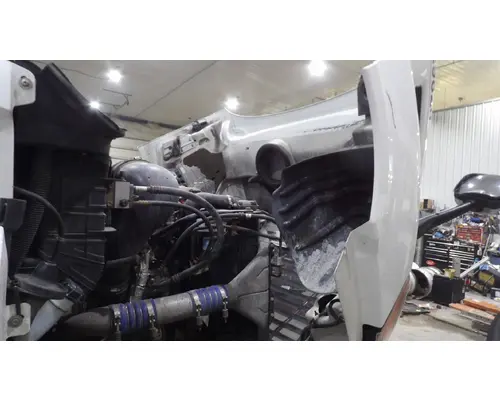 FREIGHTLINER CASCADIA 113 HOOD