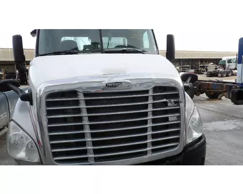 FREIGHTLINER CASCADIA 113 HOOD