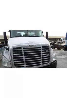 FREIGHTLINER CASCADIA 113 HOOD