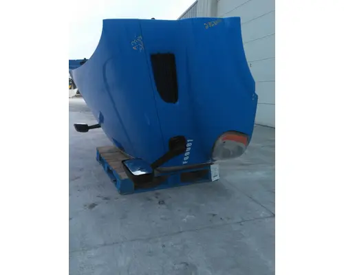 FREIGHTLINER CASCADIA 113 HOOD