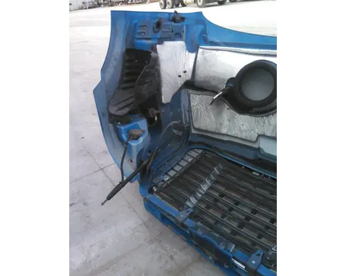 FREIGHTLINER CASCADIA 113 HOOD