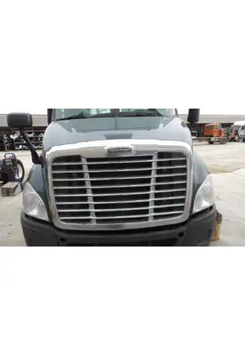 FREIGHTLINER CASCADIA 113 HOOD