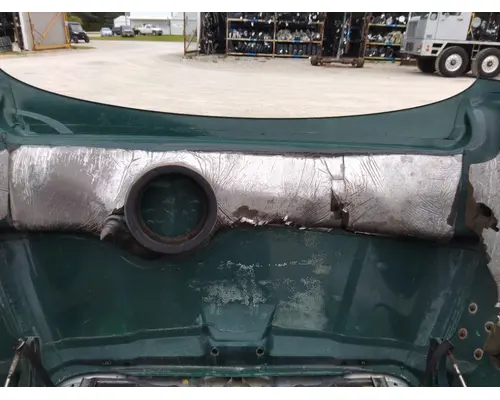 FREIGHTLINER CASCADIA 113 HOOD