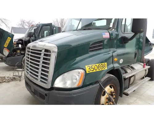 FREIGHTLINER CASCADIA 113 HOOD