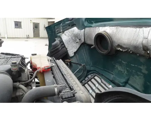 FREIGHTLINER CASCADIA 113 HOOD