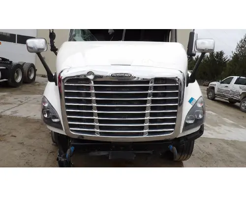 FREIGHTLINER CASCADIA 113 HOOD