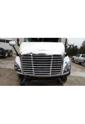 FREIGHTLINER CASCADIA 113 HOOD