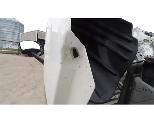 FREIGHTLINER CASCADIA 113 HOOD