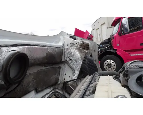 FREIGHTLINER CASCADIA 113 HOOD