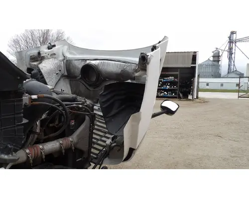 FREIGHTLINER CASCADIA 113 HOOD