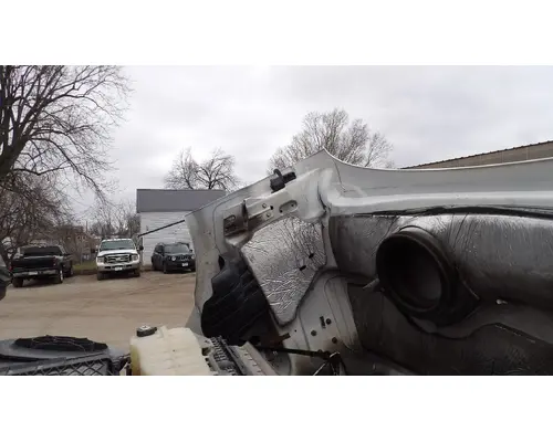 FREIGHTLINER CASCADIA 113 HOOD