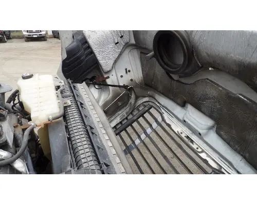 FREIGHTLINER CASCADIA 113 HOOD