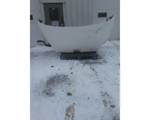 FREIGHTLINER CASCADIA 113 HOOD