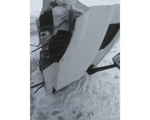 FREIGHTLINER CASCADIA 113 HOOD