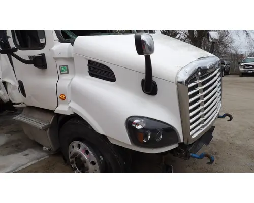FREIGHTLINER CASCADIA 113 HOOD