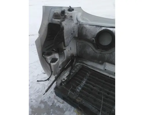 FREIGHTLINER CASCADIA 113 HOOD