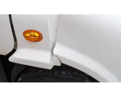 FREIGHTLINER CASCADIA 113 HOOD