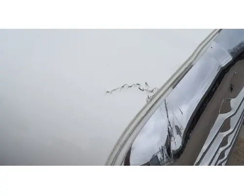 FREIGHTLINER CASCADIA 113 HOOD