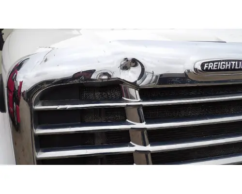 FREIGHTLINER CASCADIA 113 HOOD