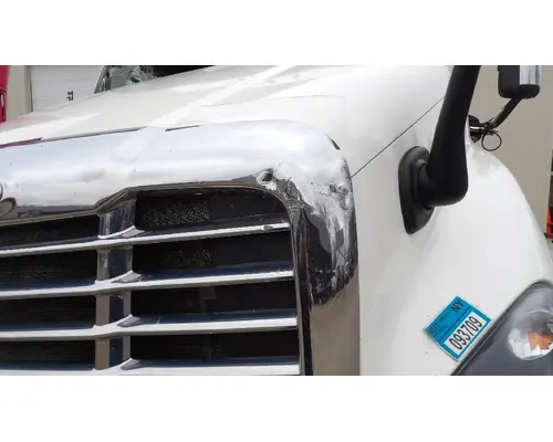 FREIGHTLINER CASCADIA 113 HOOD