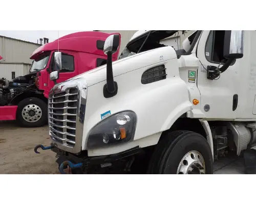 FREIGHTLINER CASCADIA 113 HOOD