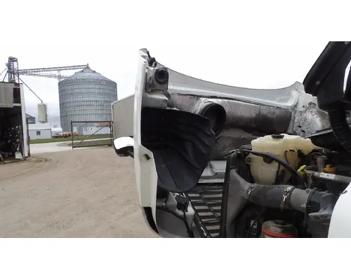 FREIGHTLINER CASCADIA 113 HOOD