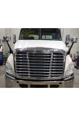 FREIGHTLINER CASCADIA 113 HOOD