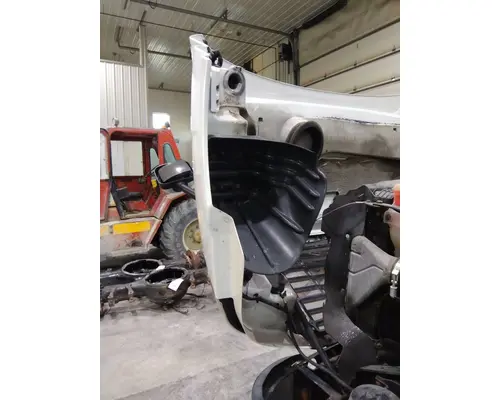 FREIGHTLINER CASCADIA 113 HOOD