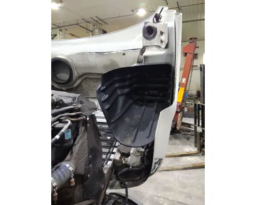 FREIGHTLINER CASCADIA 113 HOOD