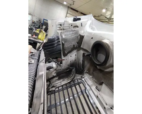 FREIGHTLINER CASCADIA 113 HOOD