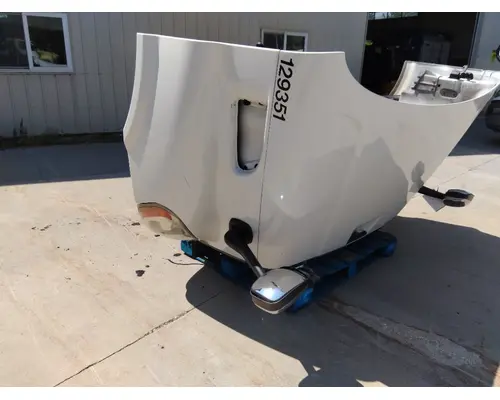 FREIGHTLINER CASCADIA 113 HOOD