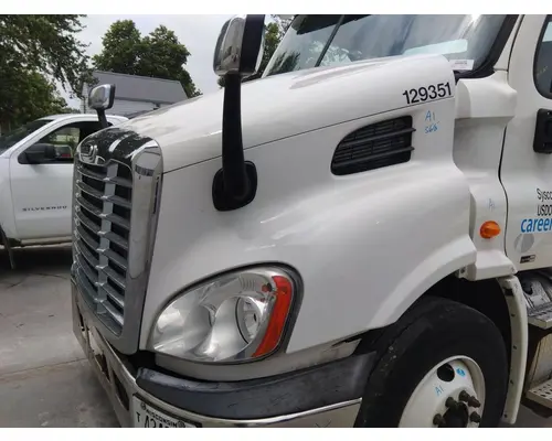 FREIGHTLINER CASCADIA 113 HOOD