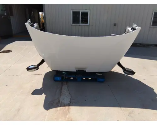 FREIGHTLINER CASCADIA 113 HOOD