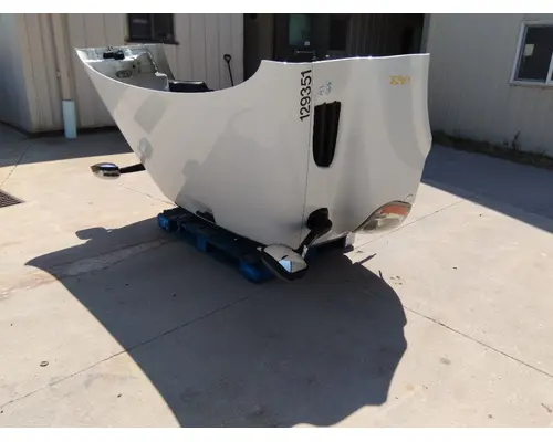 FREIGHTLINER CASCADIA 113 HOOD