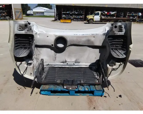 FREIGHTLINER CASCADIA 113 HOOD