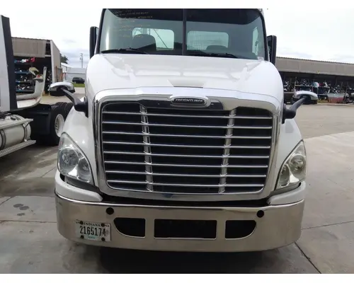 FREIGHTLINER CASCADIA 113 HOOD