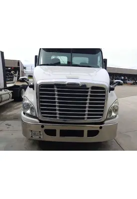 FREIGHTLINER CASCADIA 113 HOOD