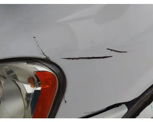 FREIGHTLINER CASCADIA 113 HOOD