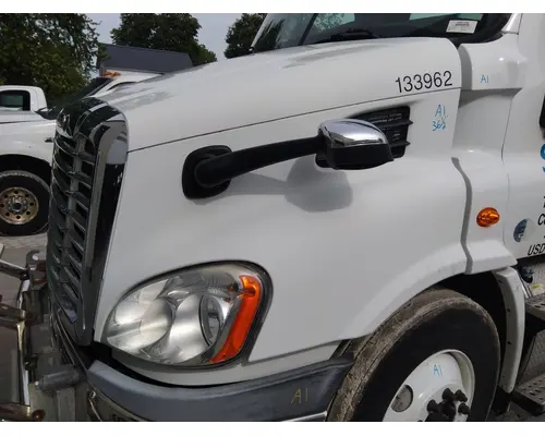 FREIGHTLINER CASCADIA 113 HOOD