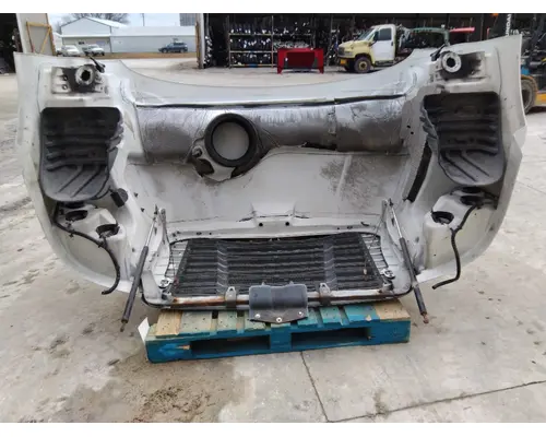 FREIGHTLINER CASCADIA 113 HOOD