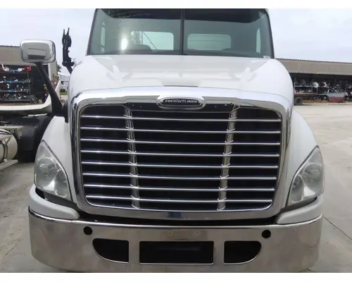 FREIGHTLINER CASCADIA 113 HOOD