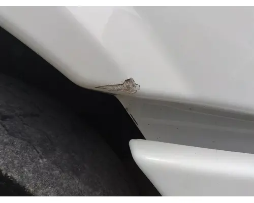 FREIGHTLINER CASCADIA 113 HOOD