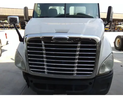 FREIGHTLINER CASCADIA 113 HOOD