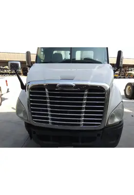 FREIGHTLINER CASCADIA 113 HOOD