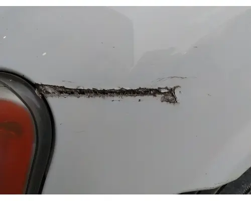 FREIGHTLINER CASCADIA 113 HOOD