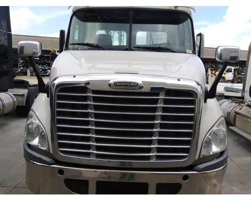 FREIGHTLINER CASCADIA 113 HOOD