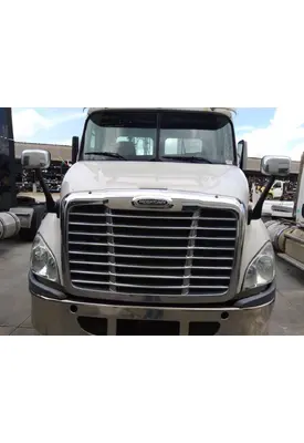 FREIGHTLINER CASCADIA 113 HOOD