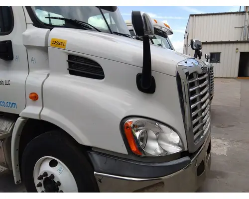 FREIGHTLINER CASCADIA 113 HOOD