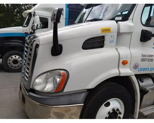 FREIGHTLINER CASCADIA 113 HOOD